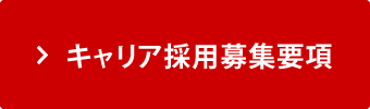 キャリア採用募集要項